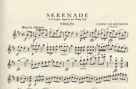 Beethoven, L. van: Serenade in D major, Op.8 (violin, viola, cello)