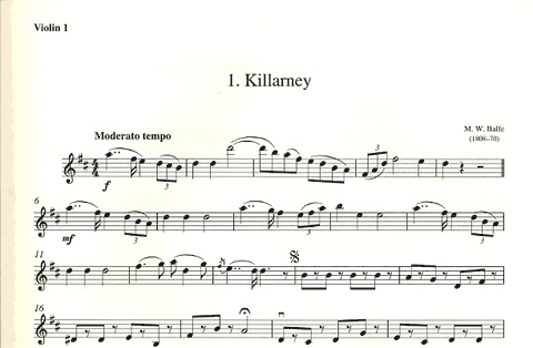 Turner (arr.): The Wild Rover (string quartet)