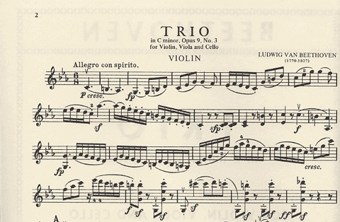 Beethoven: Trio in C minor Op.9 No.3 (violin, viola & cello) IMC