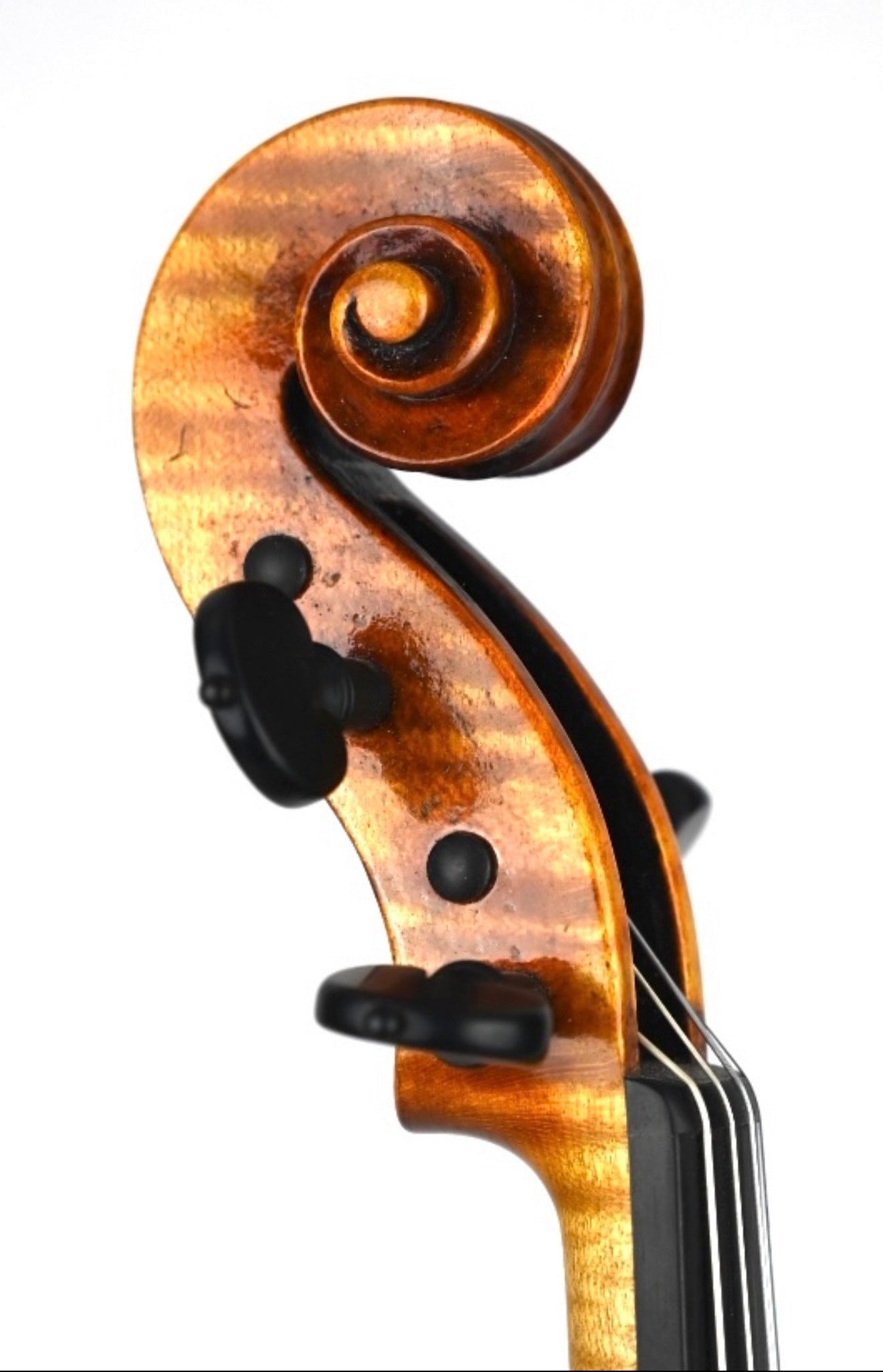 Theodore F. Skreko violin, Strad model, Indianapolis, 2024 | Metzler Violins