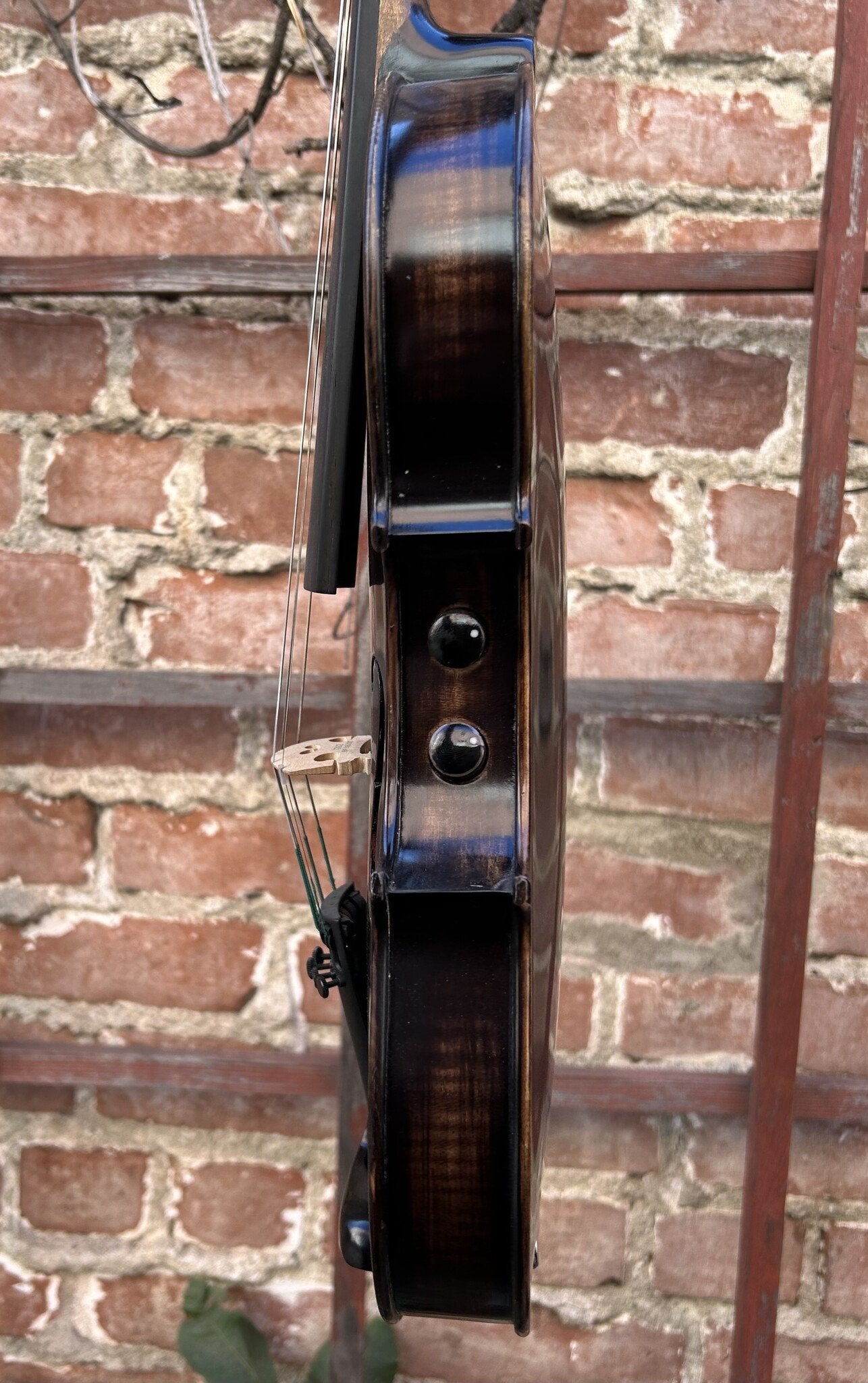 REALIST electric 5-string Pro E-Series violin feat. Instant Active with BLACK finish, Wittner pegs & case