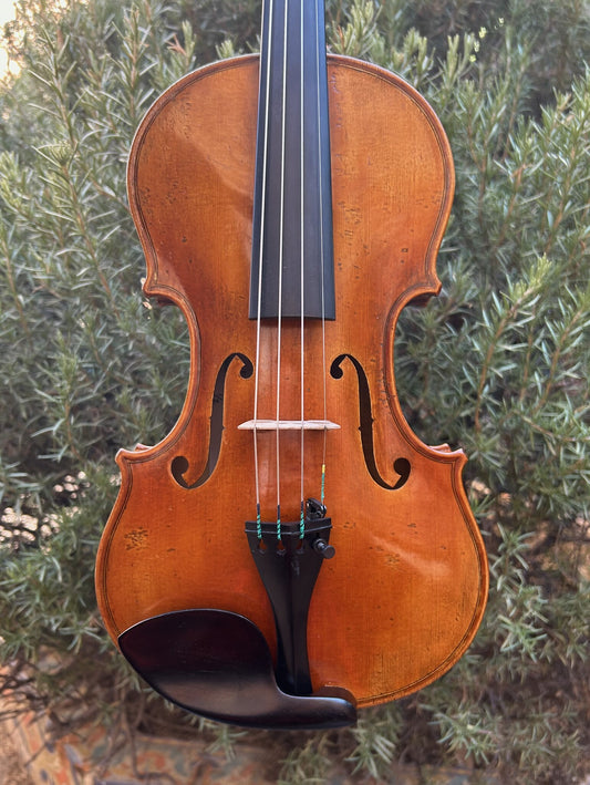1/2 Ettore Callegari violin, Strad model, European wood, 2024 | Metzler Violins