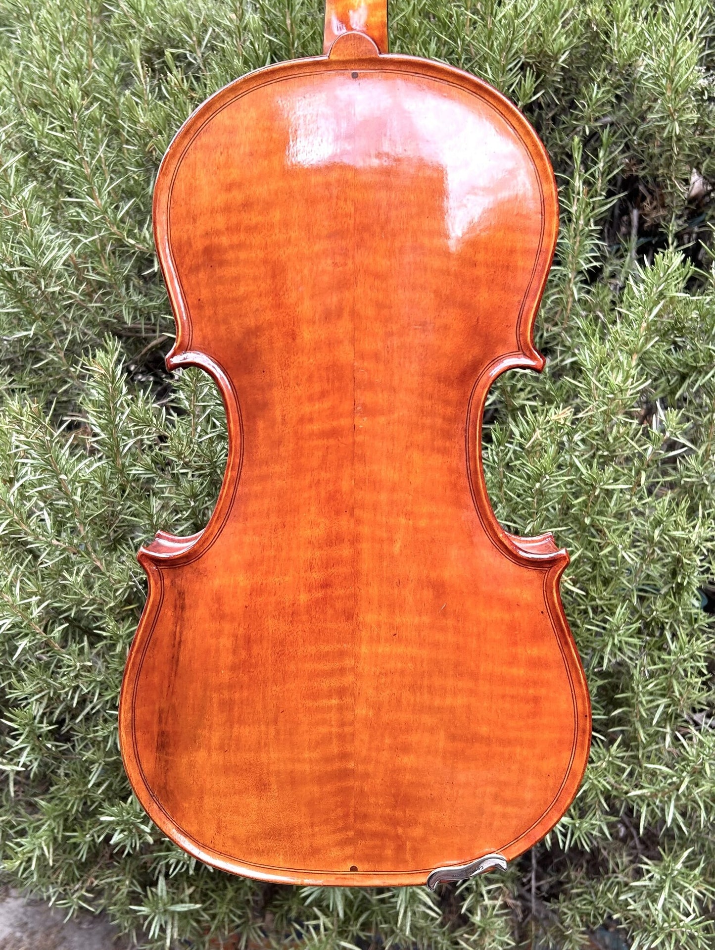 Celestino Farotto 16.5" viola, 1969, Milano, Warren certificate | Metzler Violins