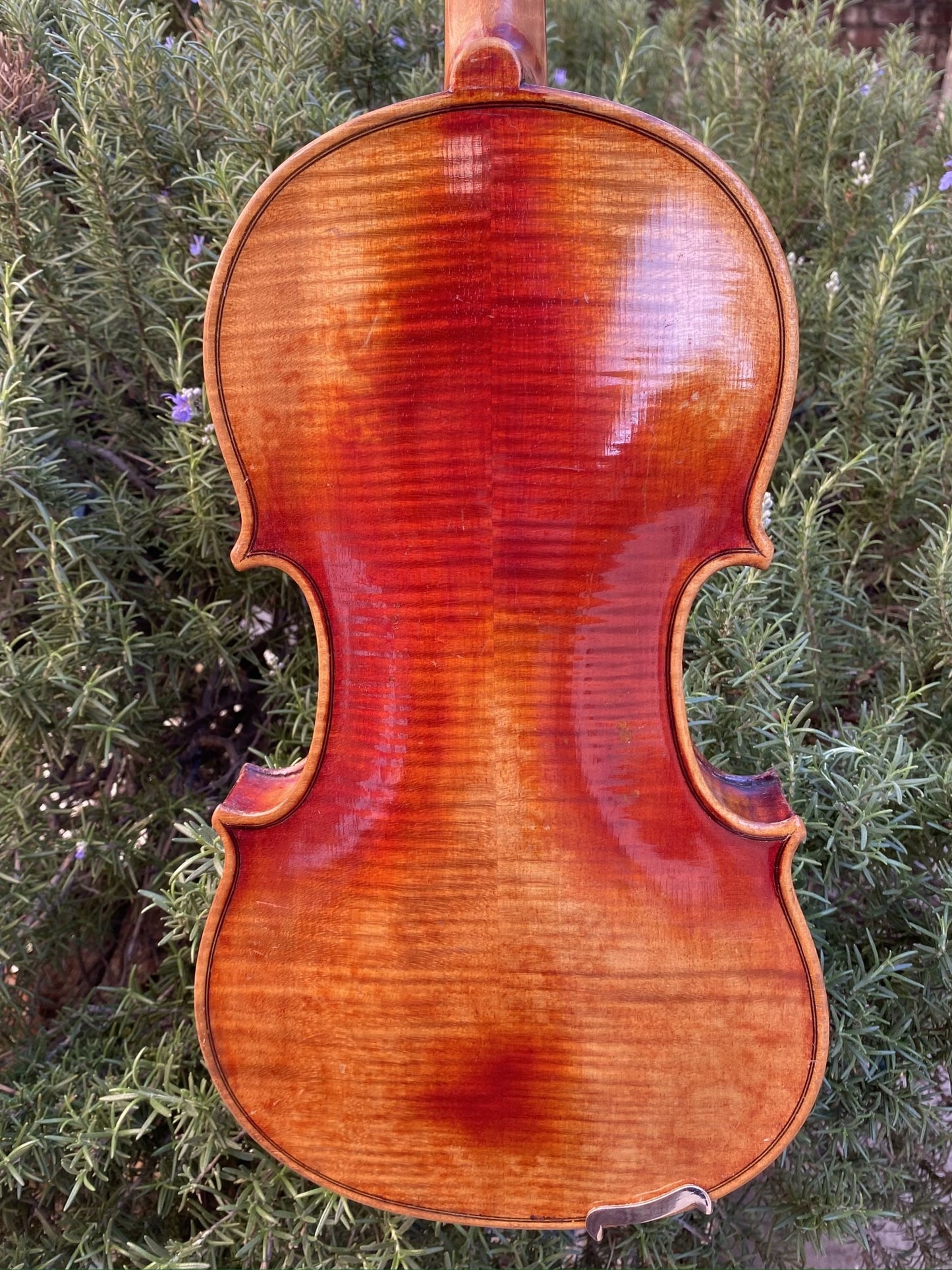John Juzek 1927 red violin, Czechoslovakia | Metzler Violins