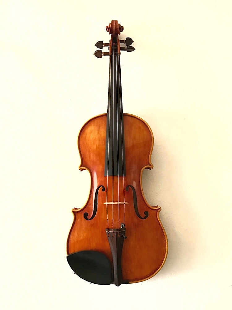 Domenico Fantin violin, 2007, Varese, ITALY