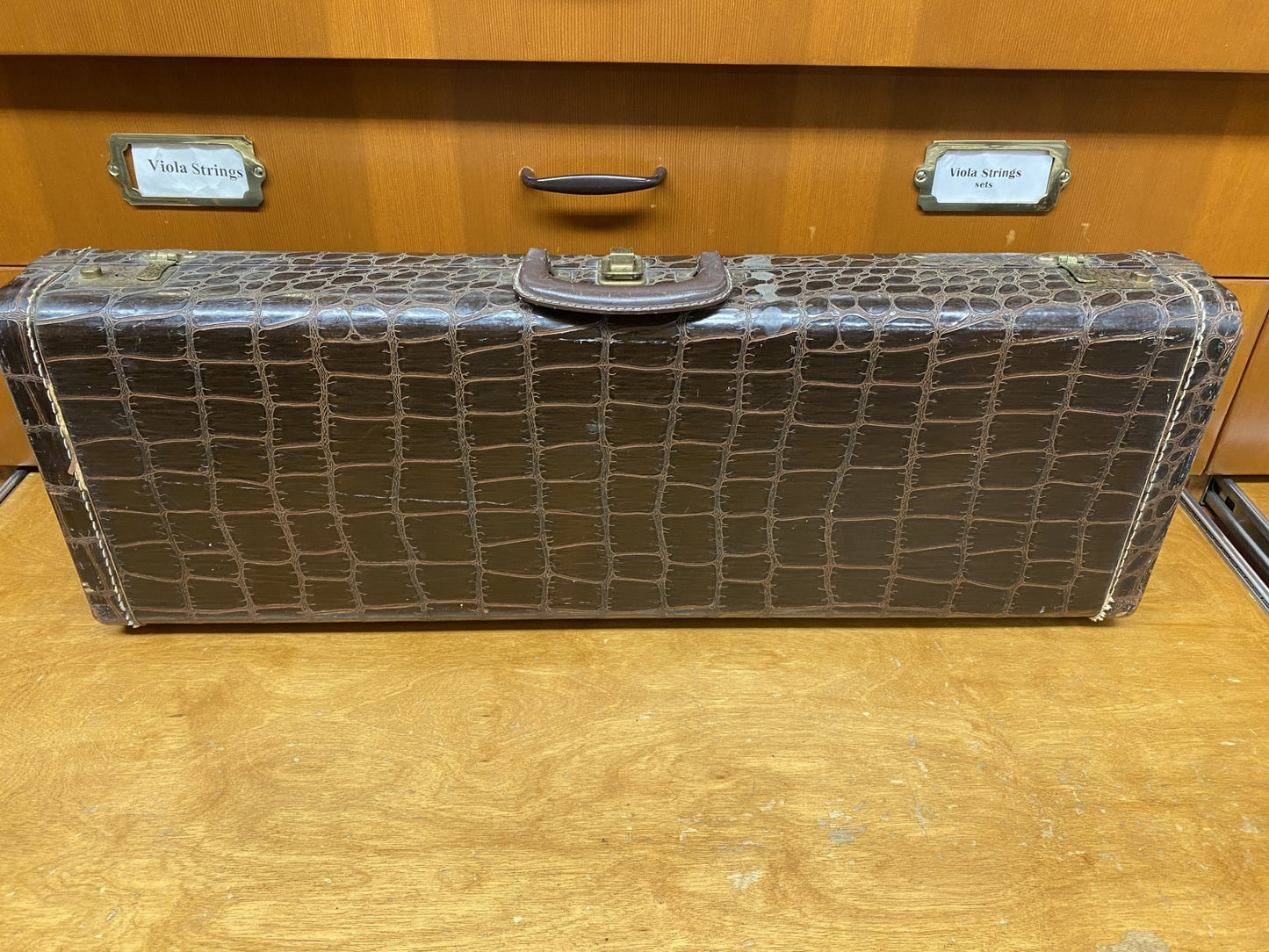 Vintage faux alligator oblong case, green velvet interior | Metzler Violins