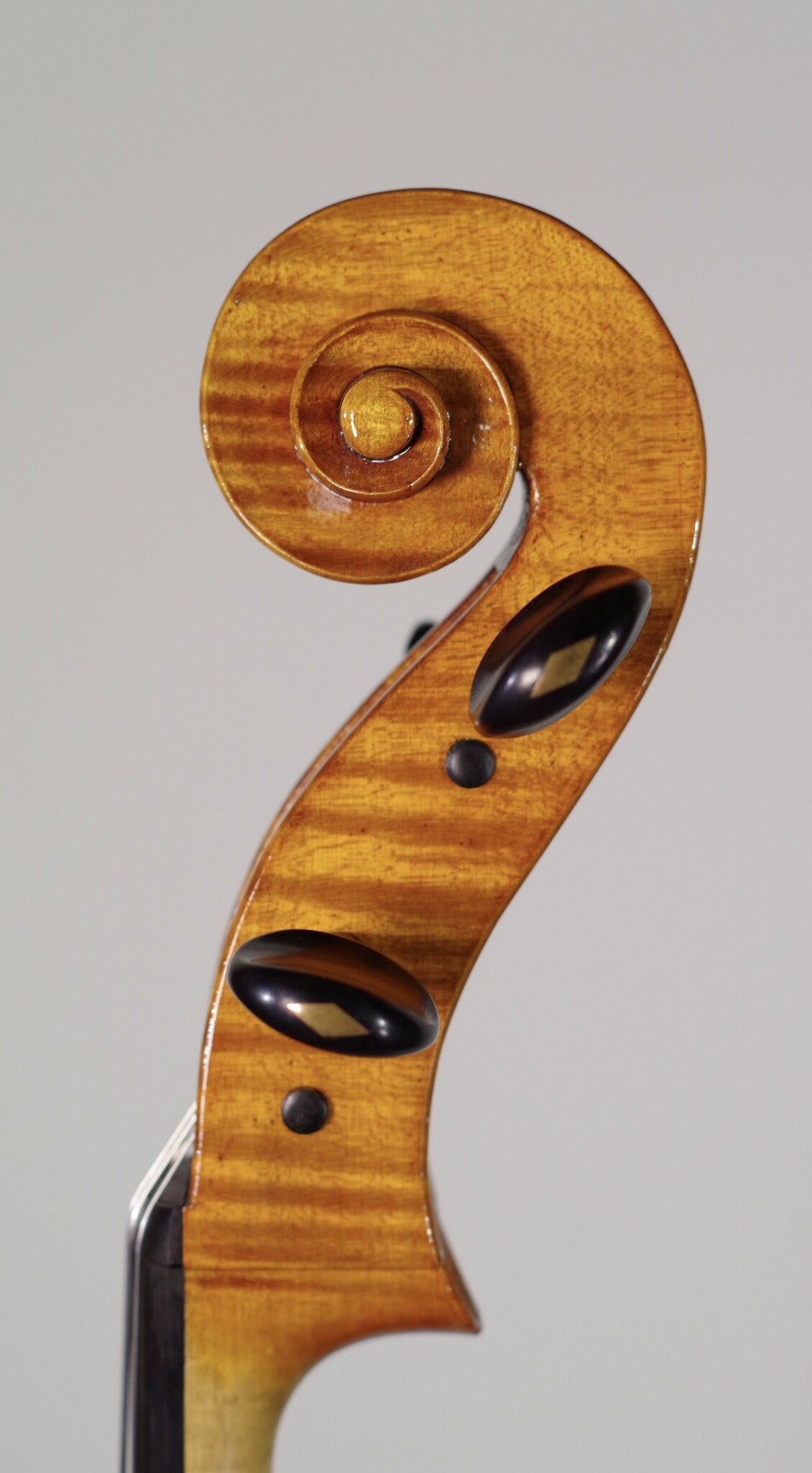Steven McCann cello #45, one-piece back, Grand Rapids, MI, 2022 | Metzler Violins