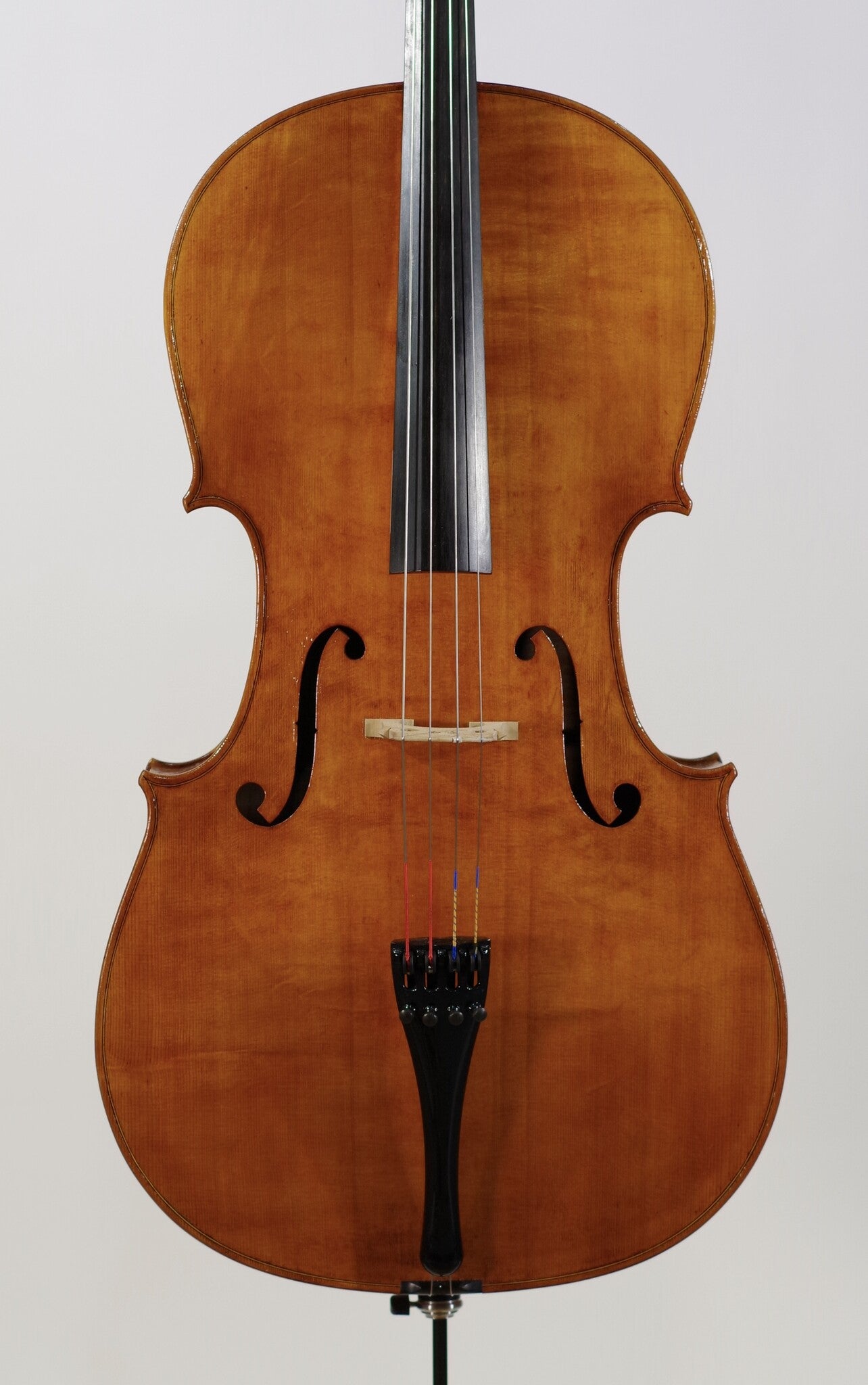 Steven McCann cello #45, one-piece back, Grand Rapids, MI, 2022 | Metzler Violins