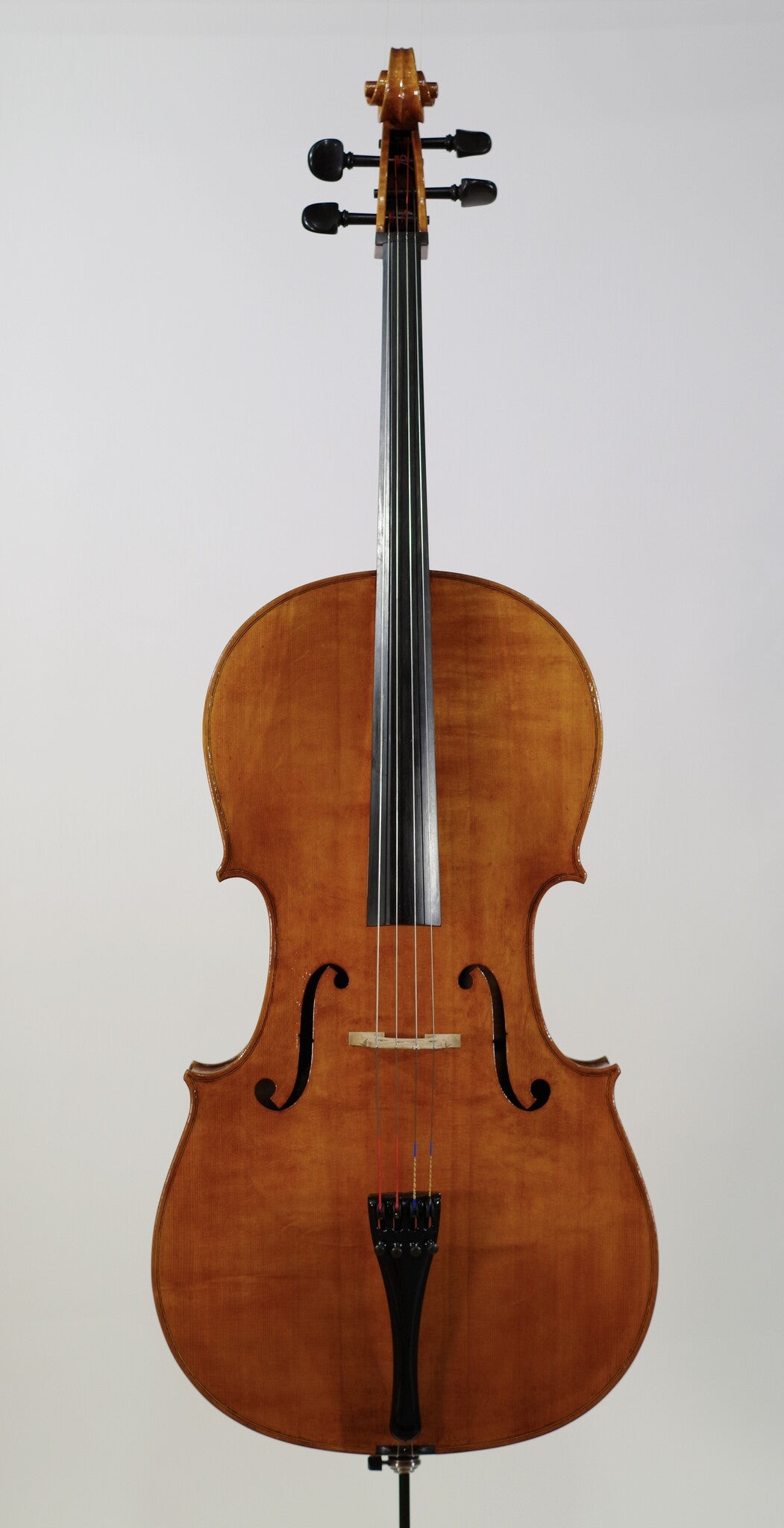 Steven McCann cello #45, one-piece back, Grand Rapids, MI, 2022 | Metzler Violins