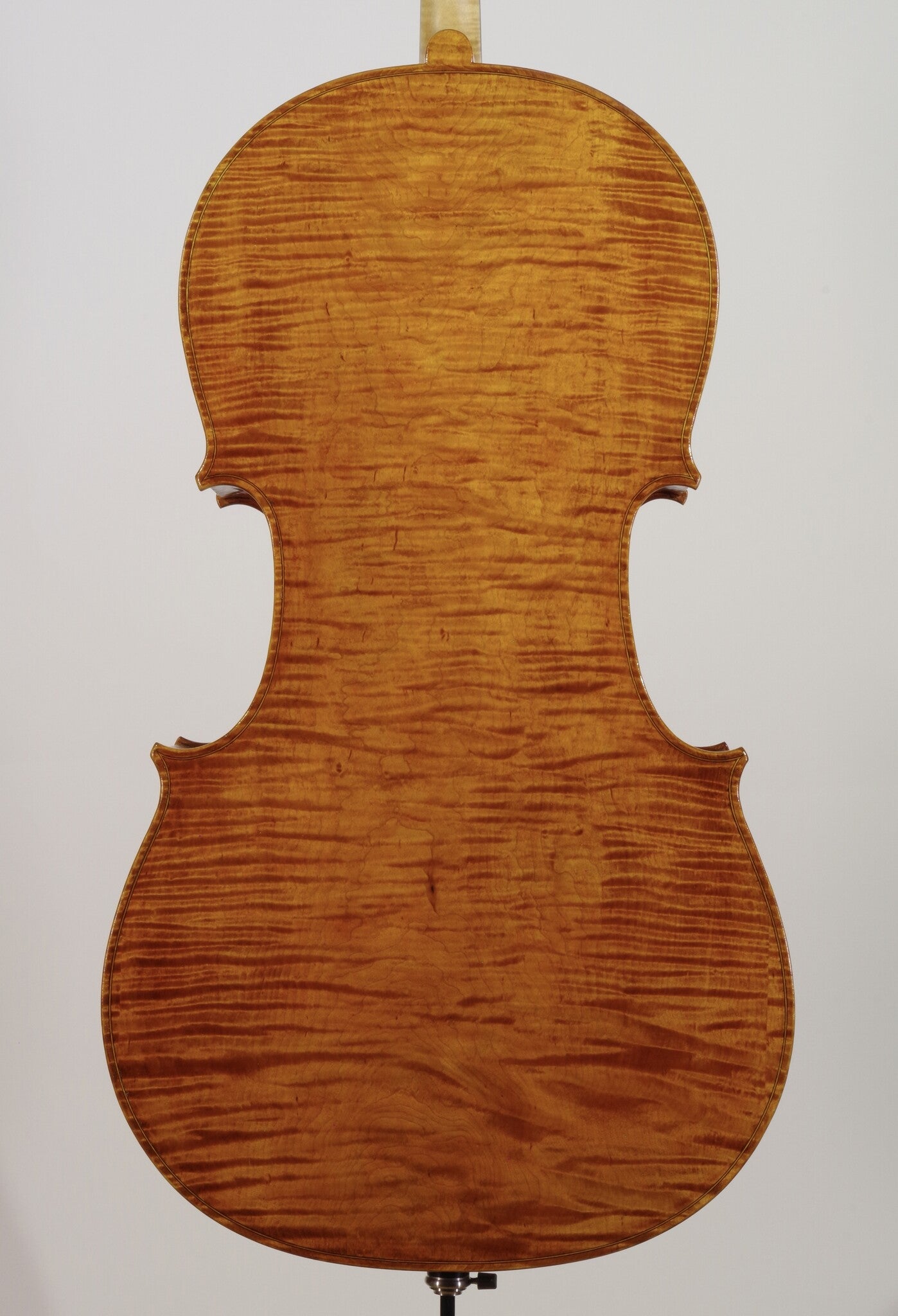 Steven McCann cello #45, one-piece back, Grand Rapids, MI, 2022 | Metzler Violins