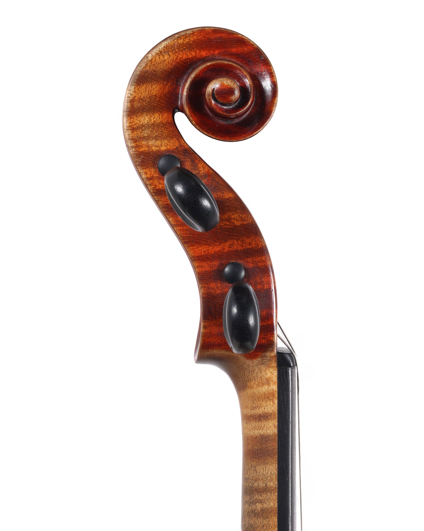 Alfredus Contino violin, 1923, signed, Naples | Metzler Violins