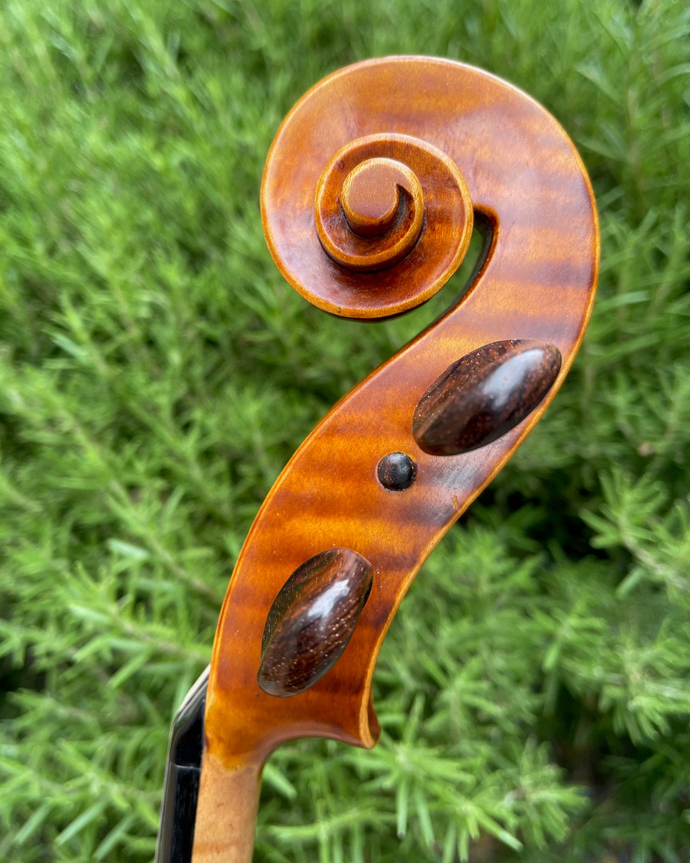 Louis Grand 16" viola, 1981, Highland, New York | Metzler Violins