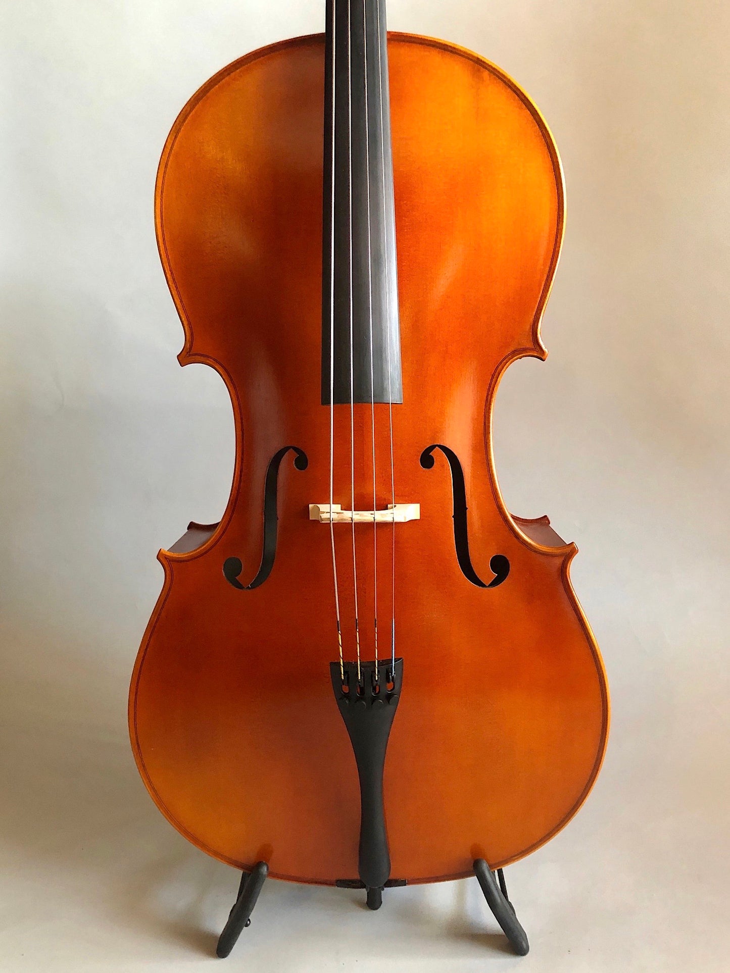 Serafina DX 4/4 cello, fully carved, with free bag, bow, rosin & polish cloth | Metzler Violins