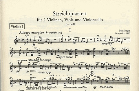 Reger, Max: String Quartet in D minor Op. post.