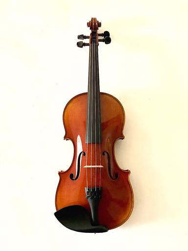 Henri Delille Deluxe, Guadagnini 1757 model violin, Belgium