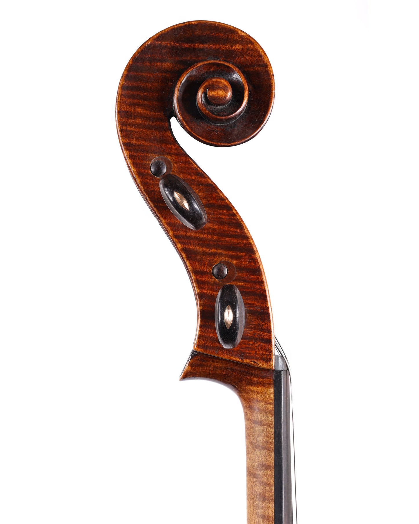 Korbinian Rieger cello, Mittenwald 1864 | Metzler Violins