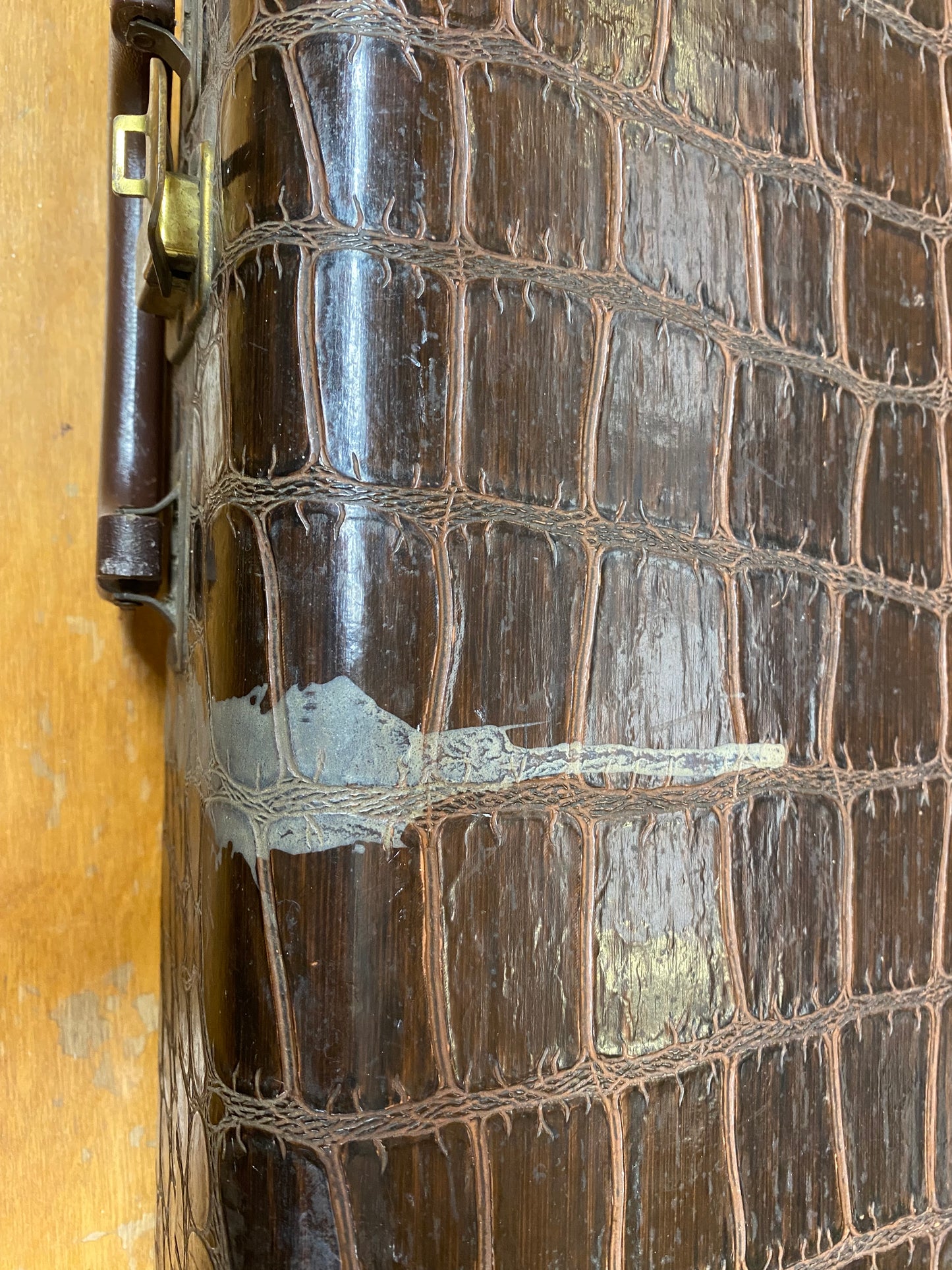 Vintage faux alligator oblong case, green velvet interior | Metzler Violins