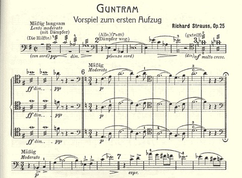 Strauss, R: Orch.StageWorksCL, V.1 Guntram