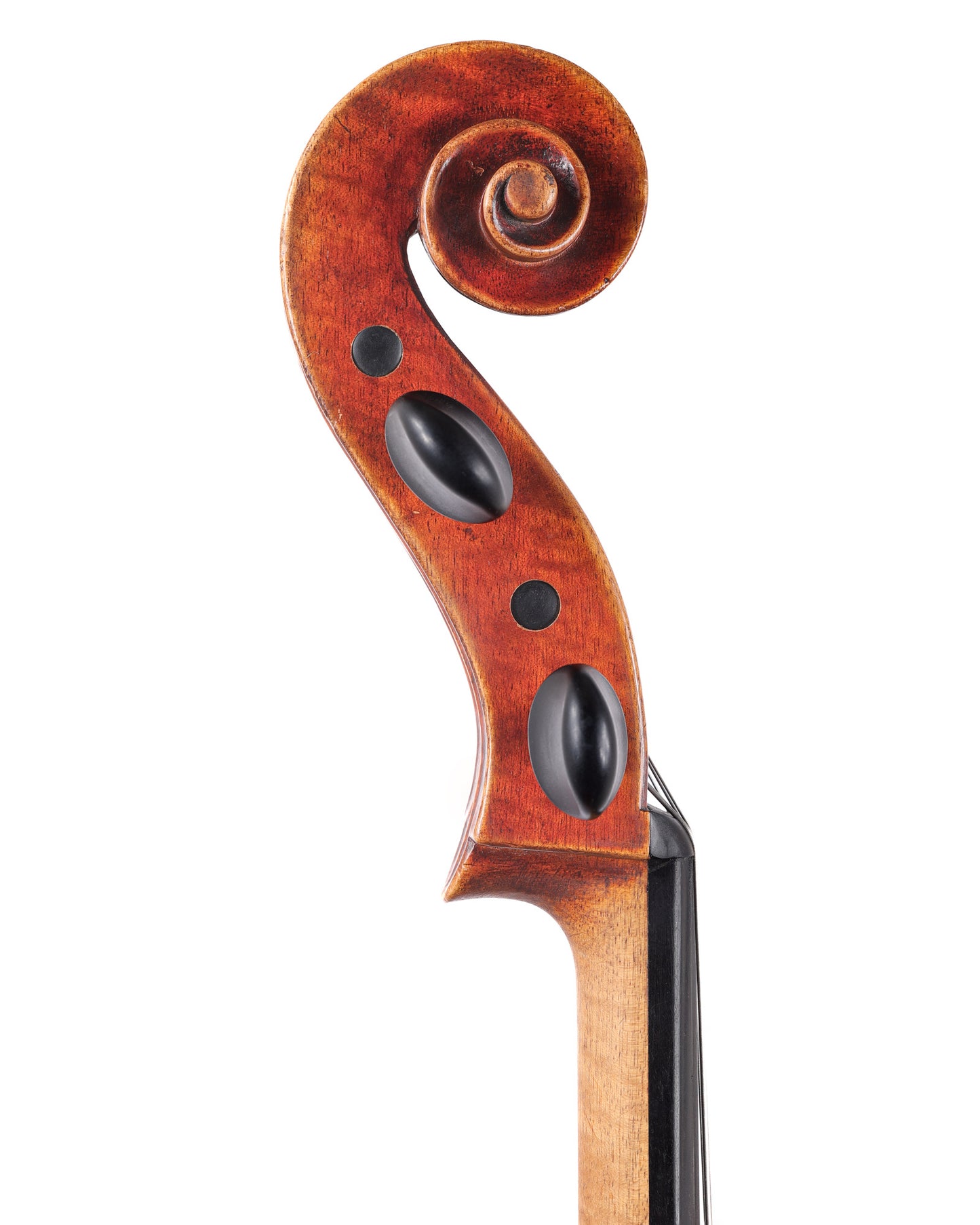 Barnabás Sárközi 4/4 cello, Budapest, 1989 | Metzler Violins