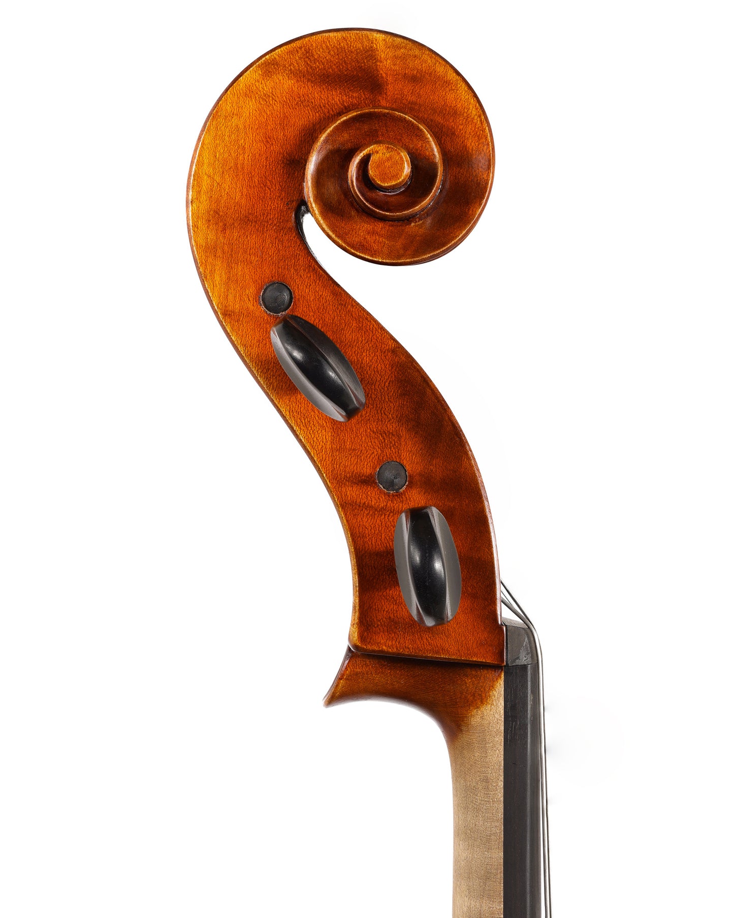 Calin Wulter model 4 cello, poplar back, 2024 | Metzler Violins