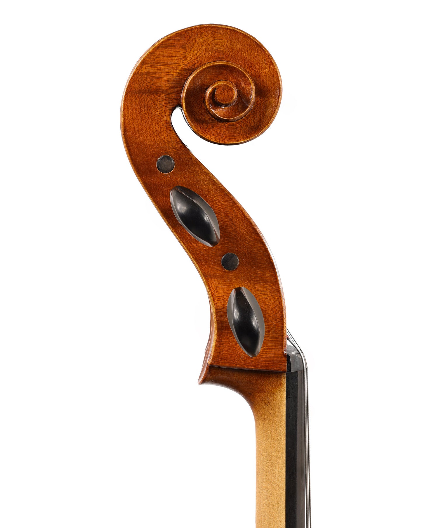 Calin Wulter model 5 cello, 2024, Reghin | Metzler Violins