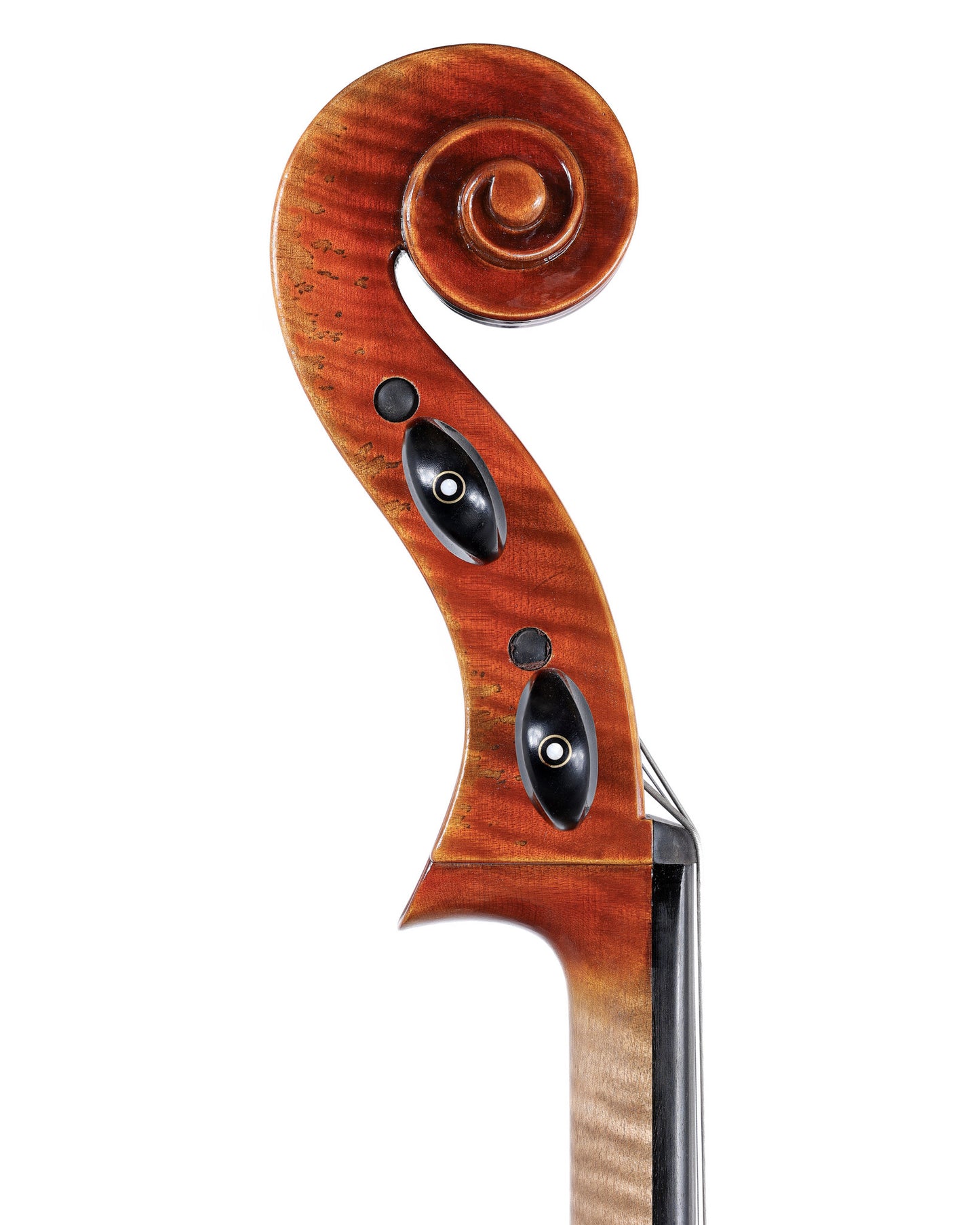 Camillo Callegari cello, 2022, Montagnana model | Metzler Violins