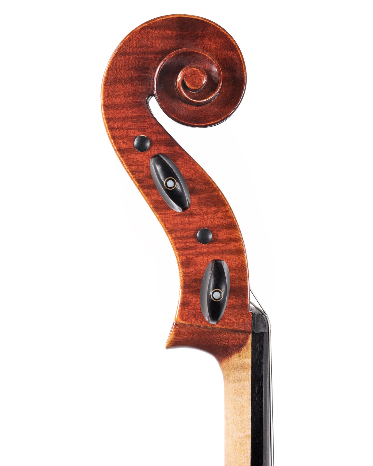 Heinrich Gill 4/4 MONZA Strad model cello, 2018, with certificate | Metzler Violins