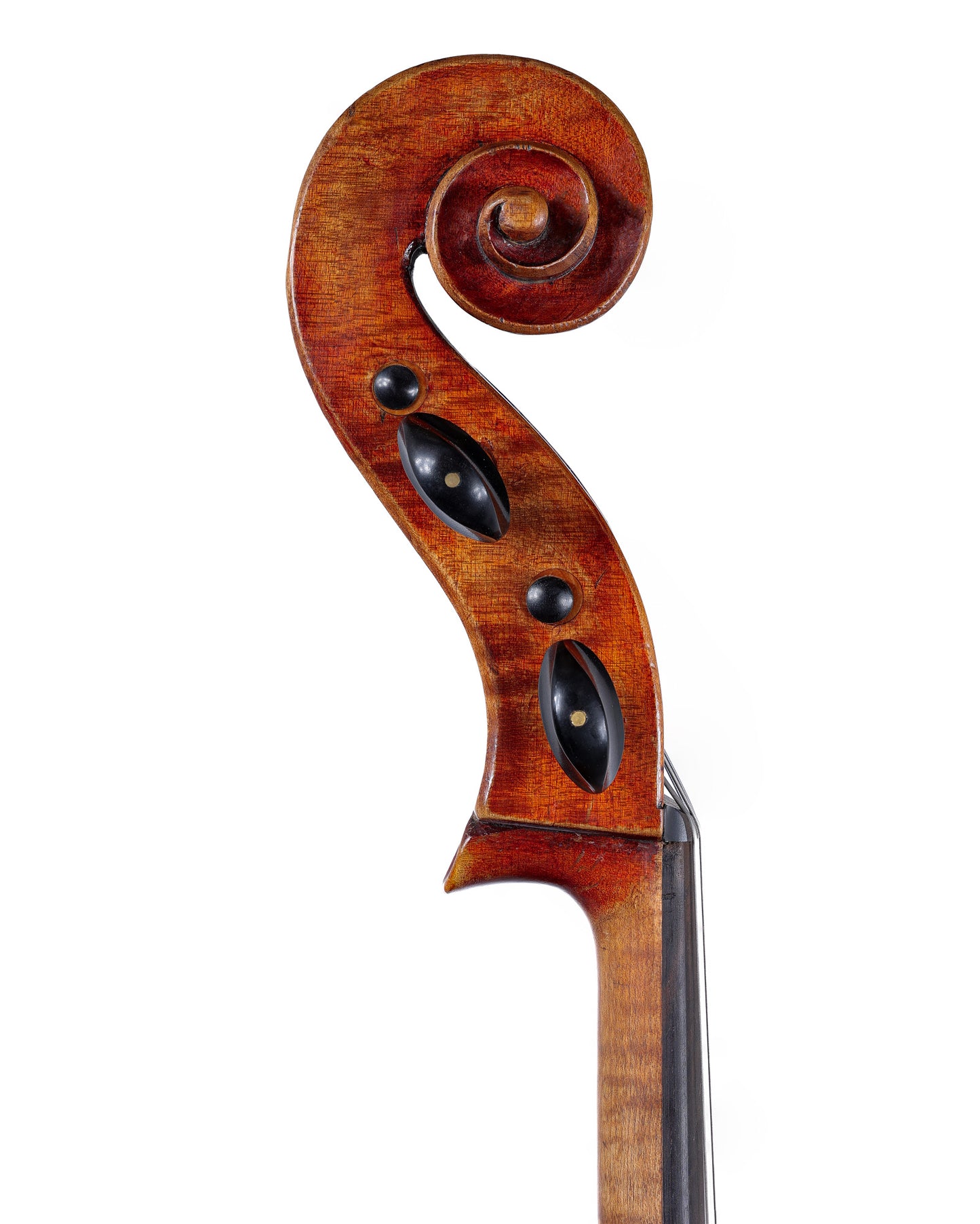 J.T.L. Geronimo Barnabetti cello, Mirecourt, FRANCE, ca 1885 | Metzler Violins
