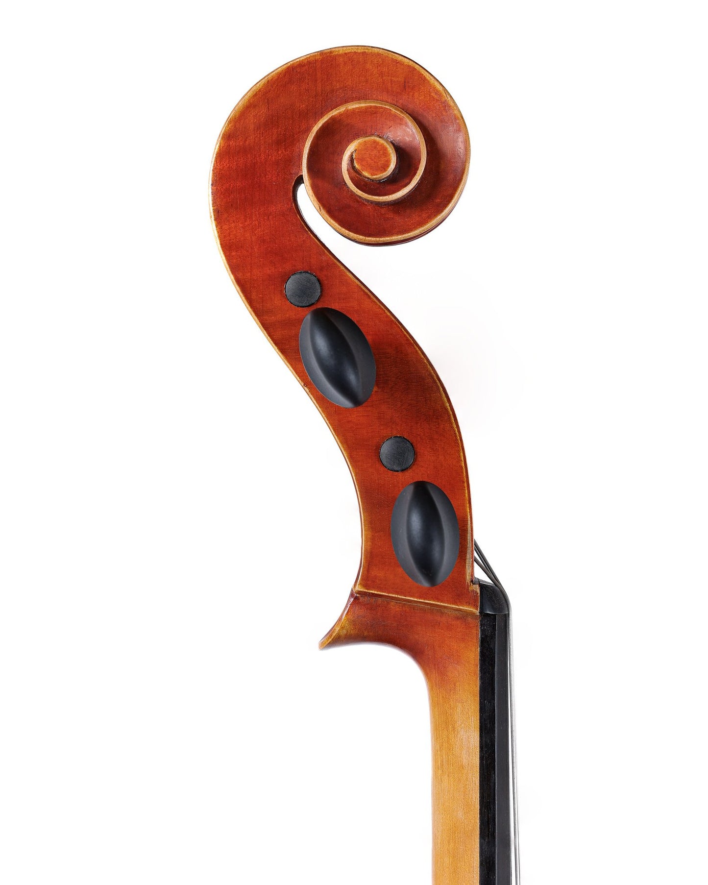 Luca Brizzi cello, 2016, Verona, ITALY, with maker's certificate | Metzler Violins