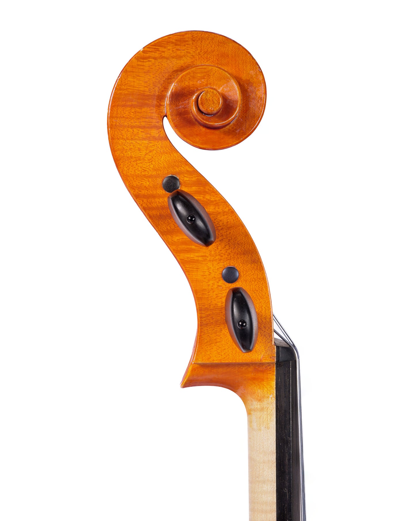Madison Moran 4/4 cello, Salt Lake City, 2007 | Metzler Violins