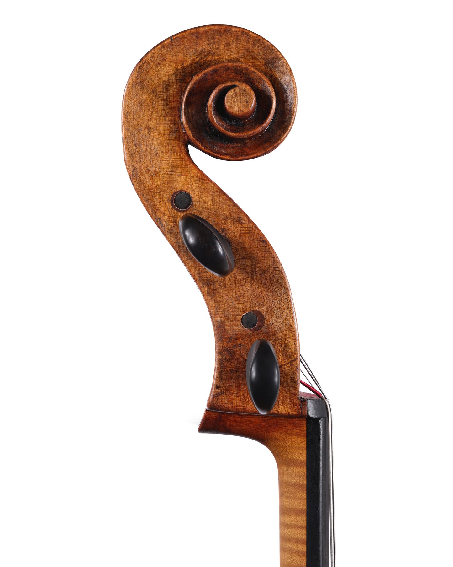 Michael Fischer cello, 2019, David Tecchler copy, Los Angeles | Metzler Violins