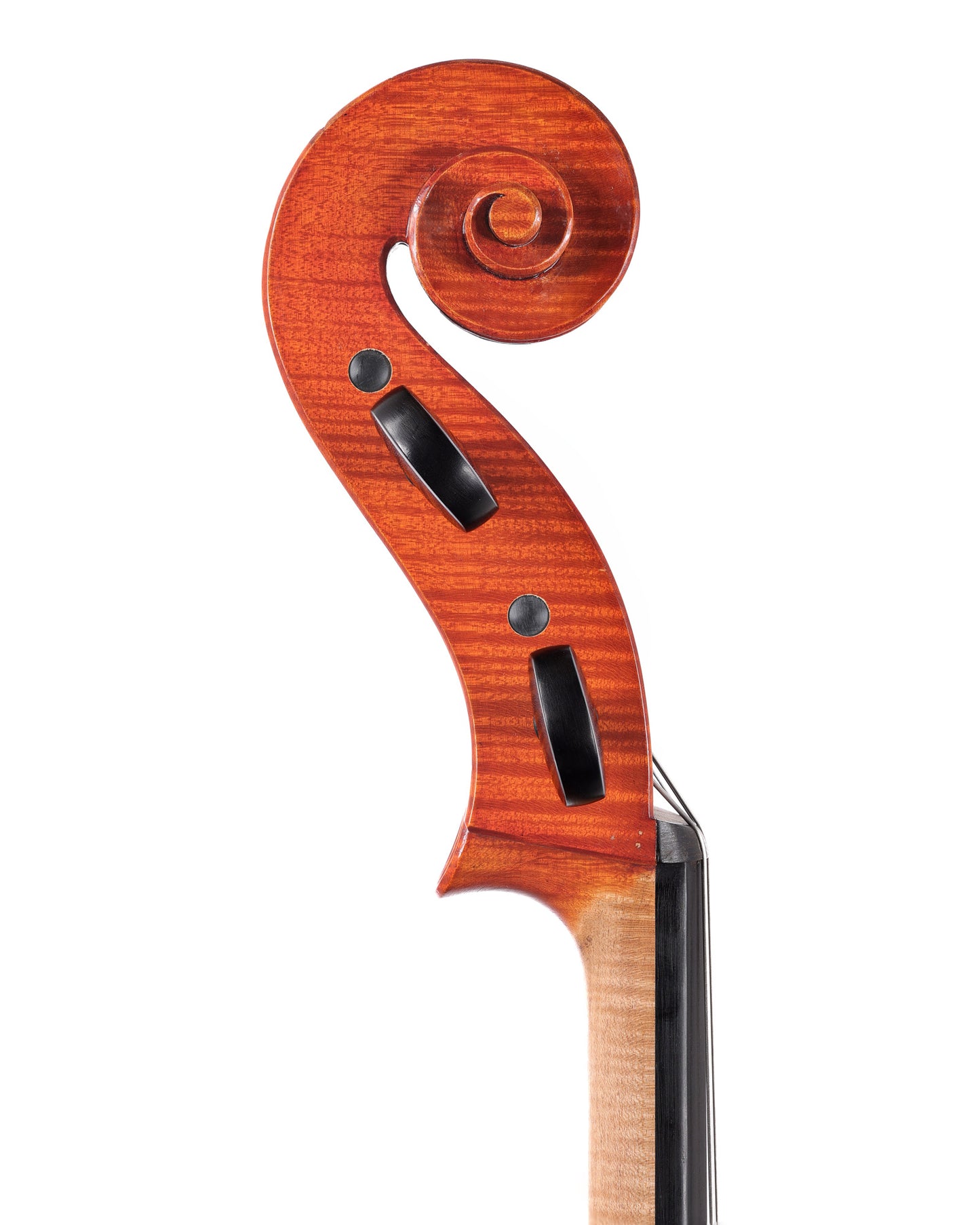 Carlos Funes Vitanza, "Andrea Guarneri" model cello, 2022 | Metzler Violins