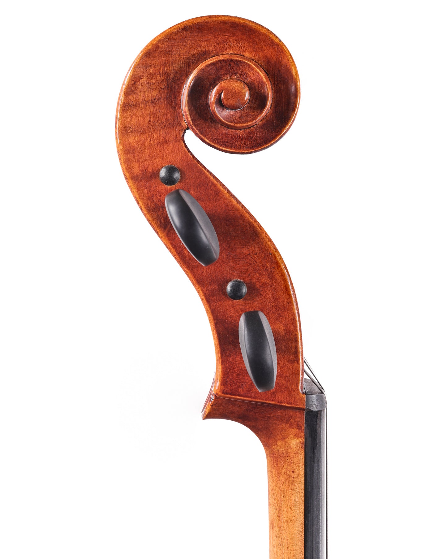 Revelle Model 650 cello #11140 | Metzler Violins