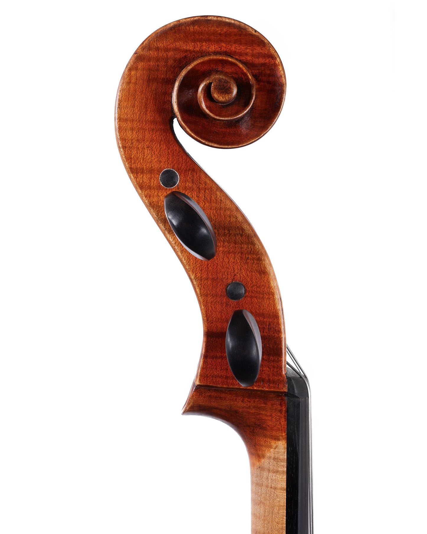 Vivo "Limited" 4/4 cello, Strad 1710 model | Metzler Violins