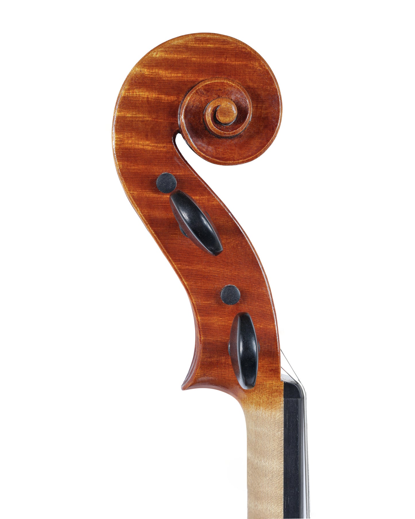 Arwed Harms 16.5" viola, 2019, Fizziana, ITALY