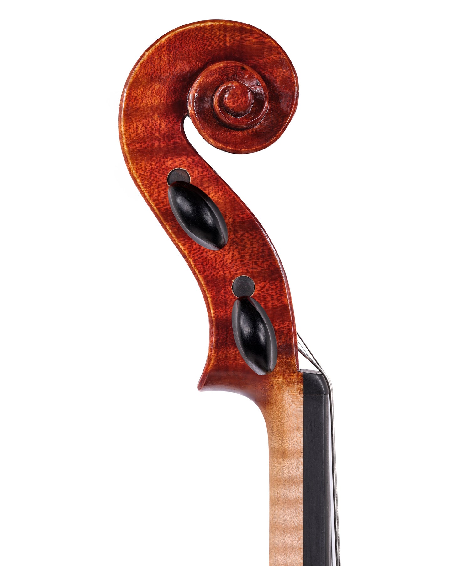 Carrie Scoggins 16 5/16" viola, Salt Lake City, UT, 2023