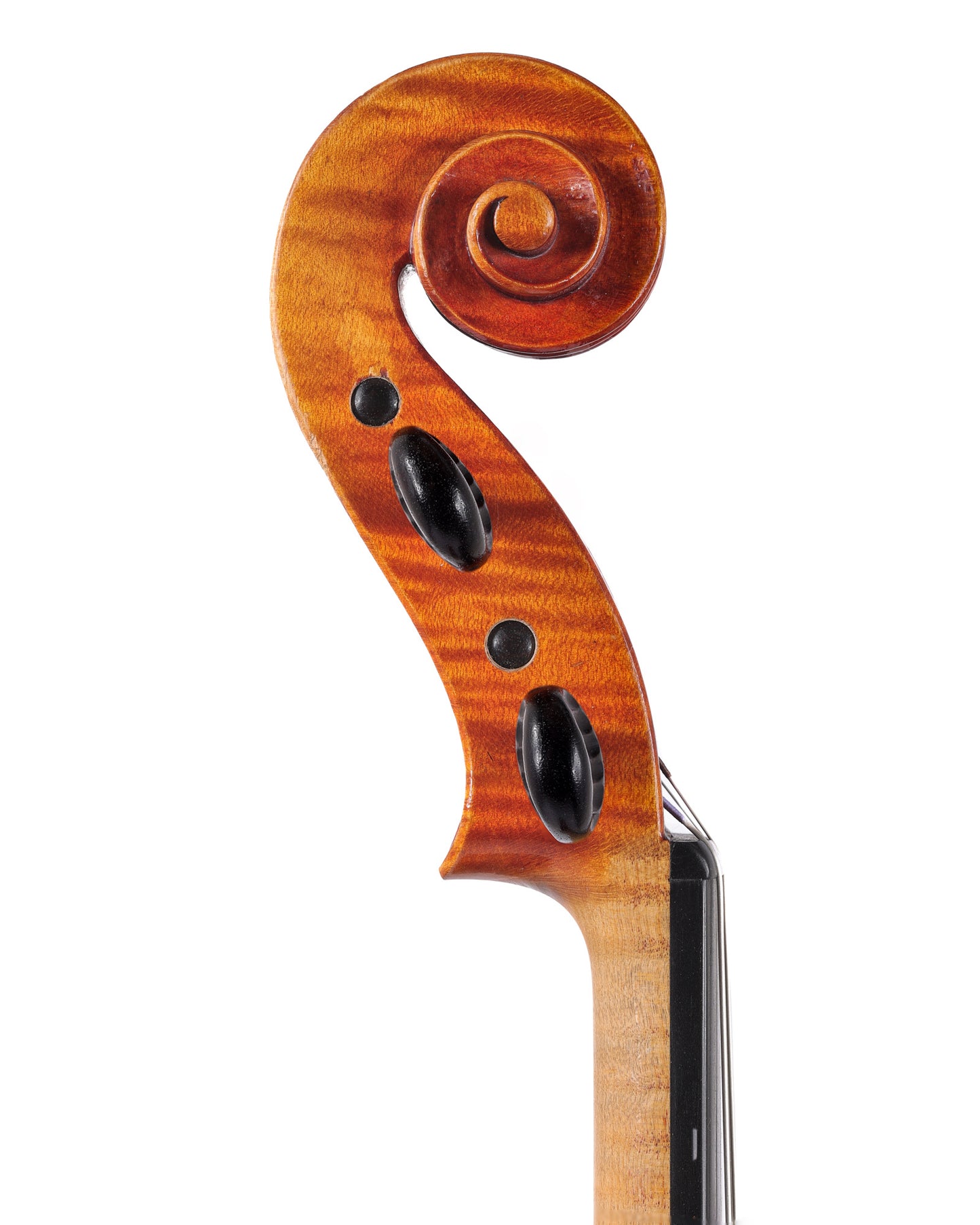 Henry Werro 17 1/8" viola, #227, Berne, SWITZERLAND, 1950