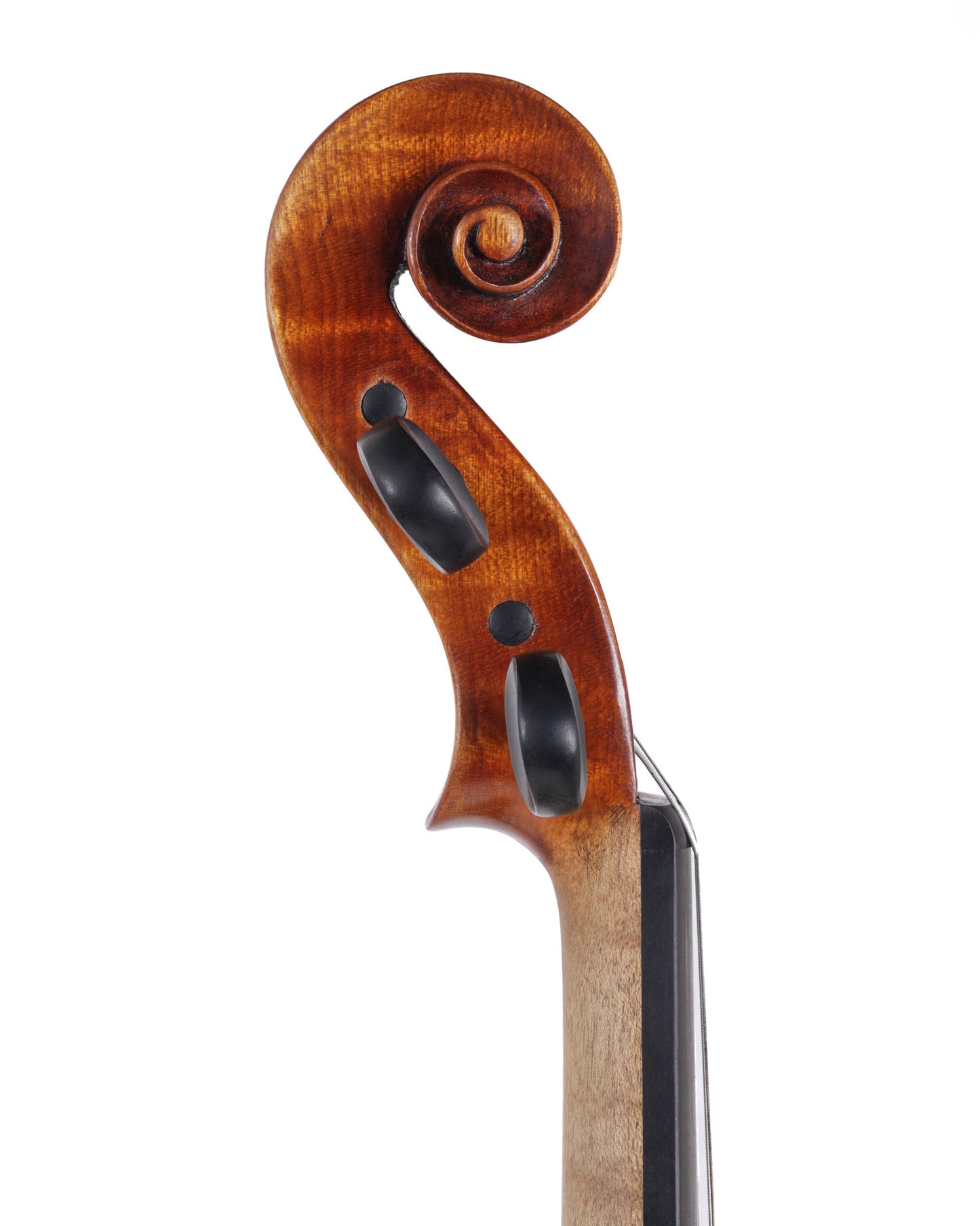 José Antonio Tavira & Eduardo Castaño 16 3/16" viola, Querétaro, 2024 | Metzler Violins