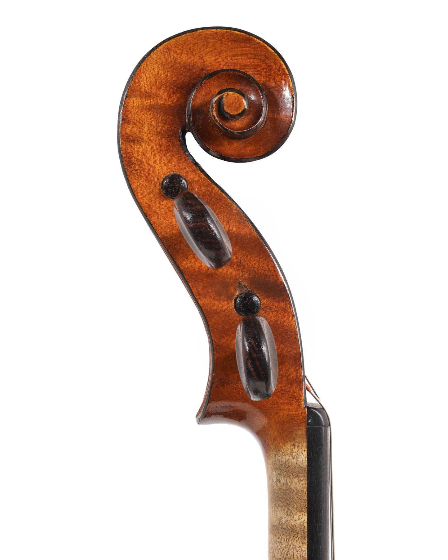 Auguste Delivet violin, "Extra Speciale" No. 431, Toronto, CANADA, 1-piece back