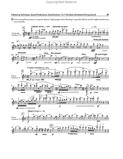 Wulfhorst: The Orchestral Violinist's Companion, Vols.1 & 2 (violin) Barenreiter