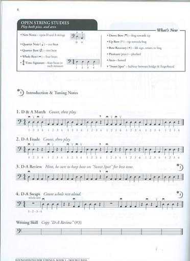 Del Borgo: Foundations for Strings, Book 1 (Bass)