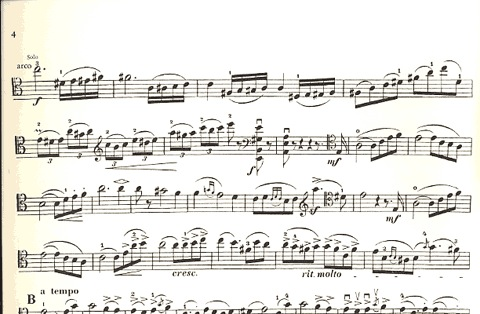 Goltermann, Georg (Rose): Concerto #1 (cello & piano)