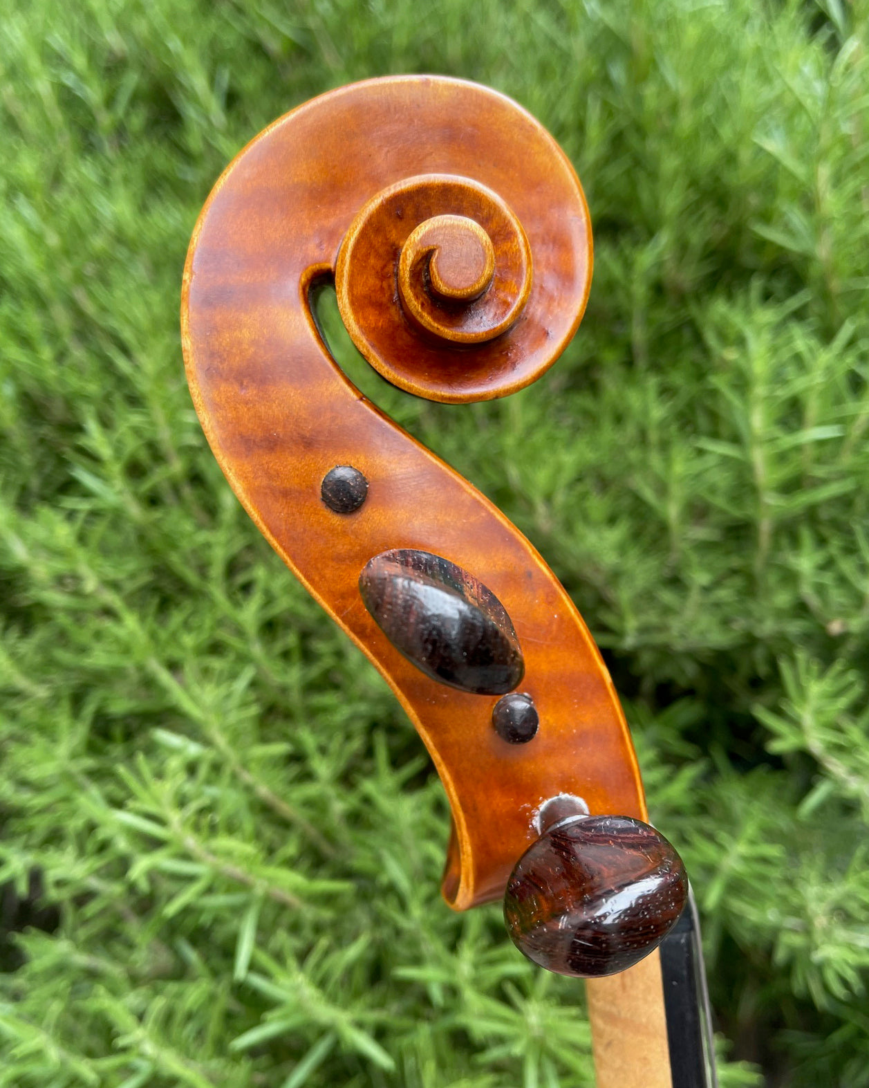 Louis Grand 16" viola, 1981, Highland, New York | Metzler Violins
