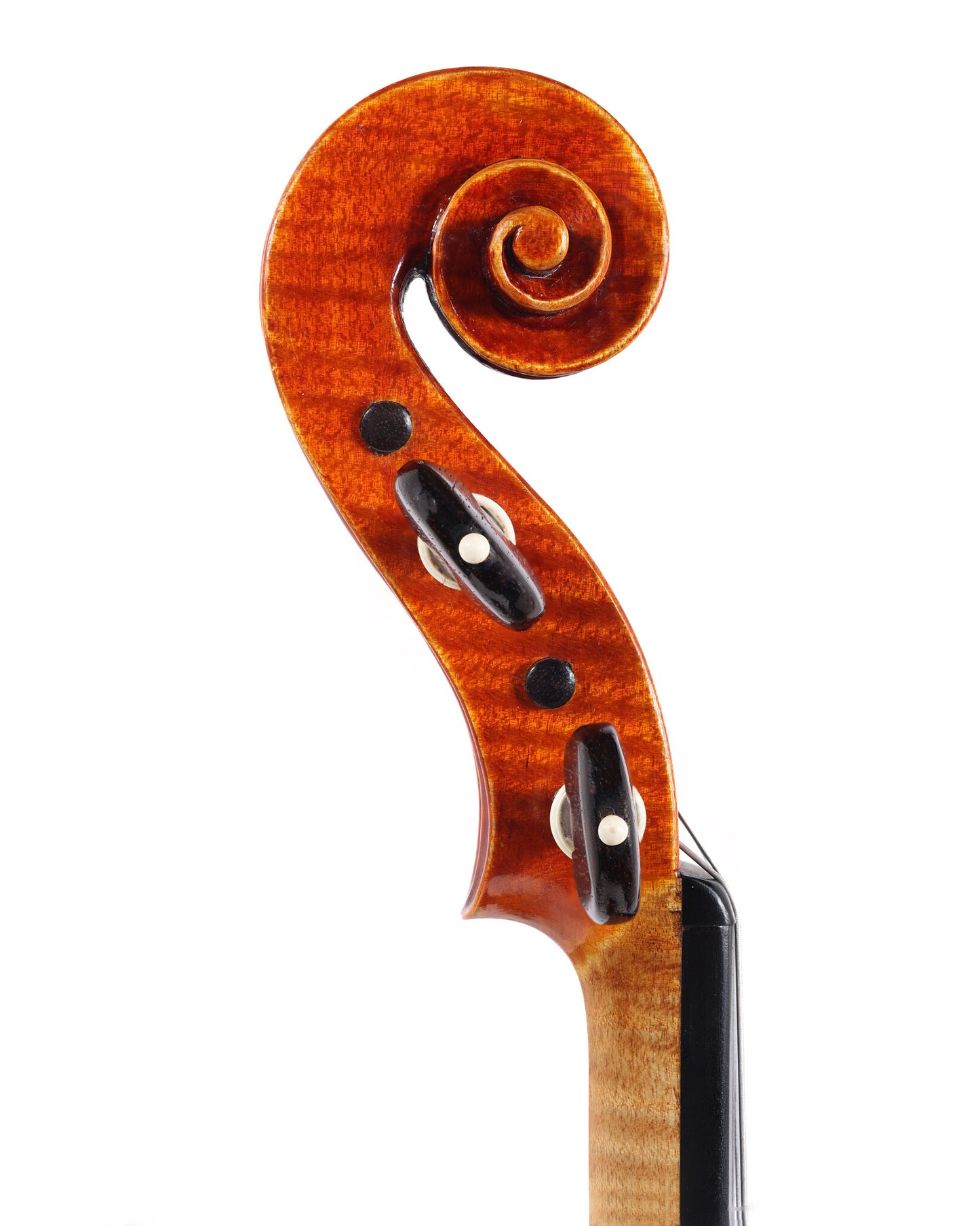 Otto K. Schenk von Bern violin, New York 1976 | Metzler Violins