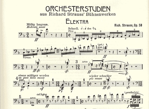 Strauss, R: Orch.Stage Works CL, V.3 Elektra