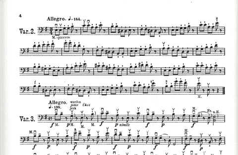Sevcik, O. (Feuillard): Forty Variations, Op. 3 (Cello)