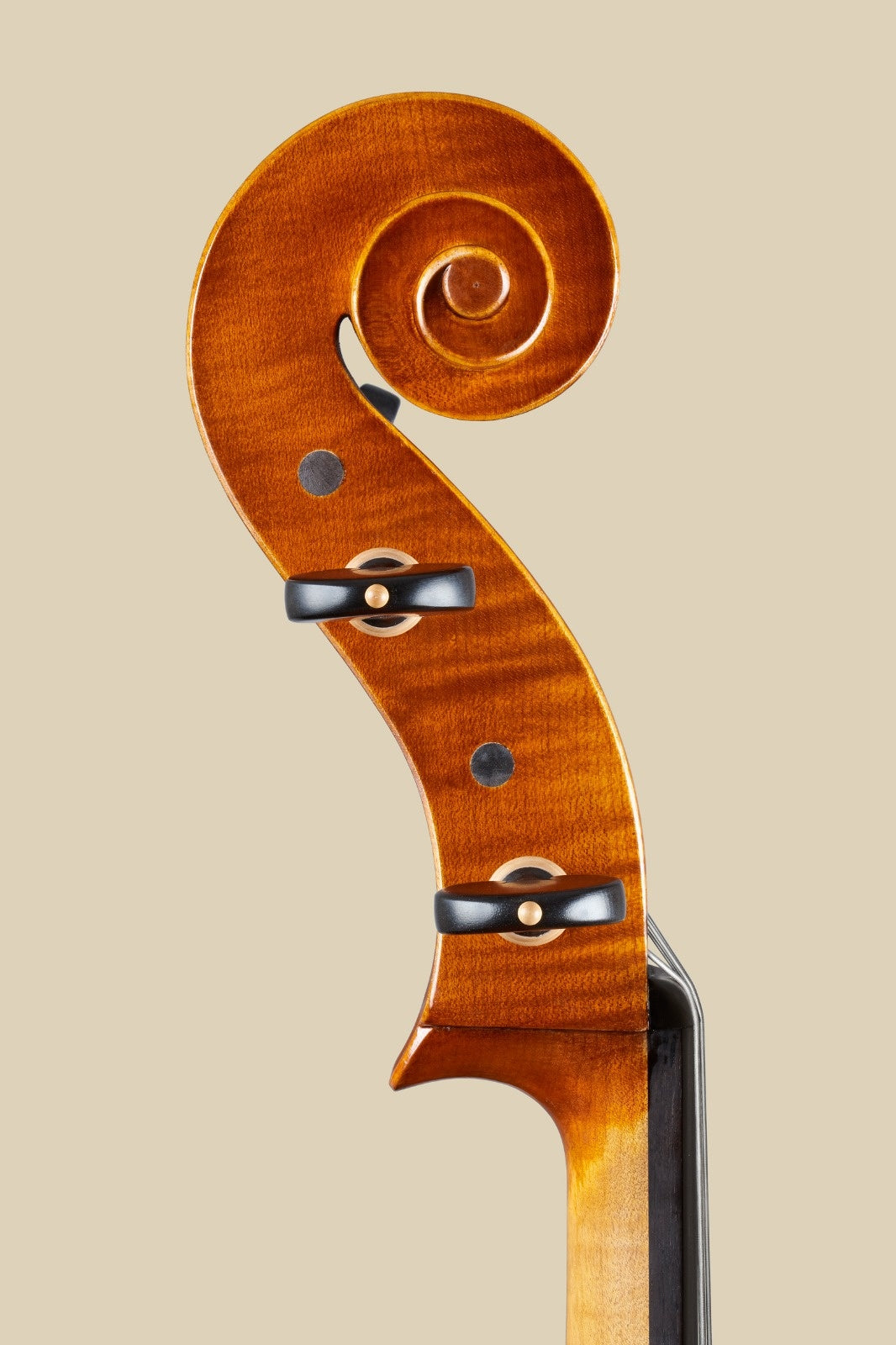 Luca Pirini cello, 2022, Cremona, | Metzler Violins