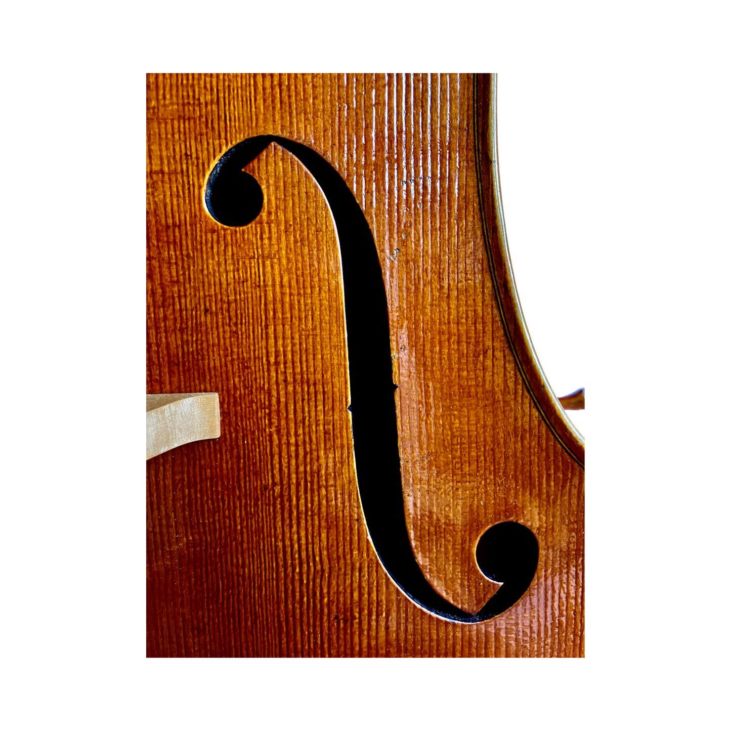 Frederik Bethke cello, Minneapolis, MN, 2023 | Metzler Violins