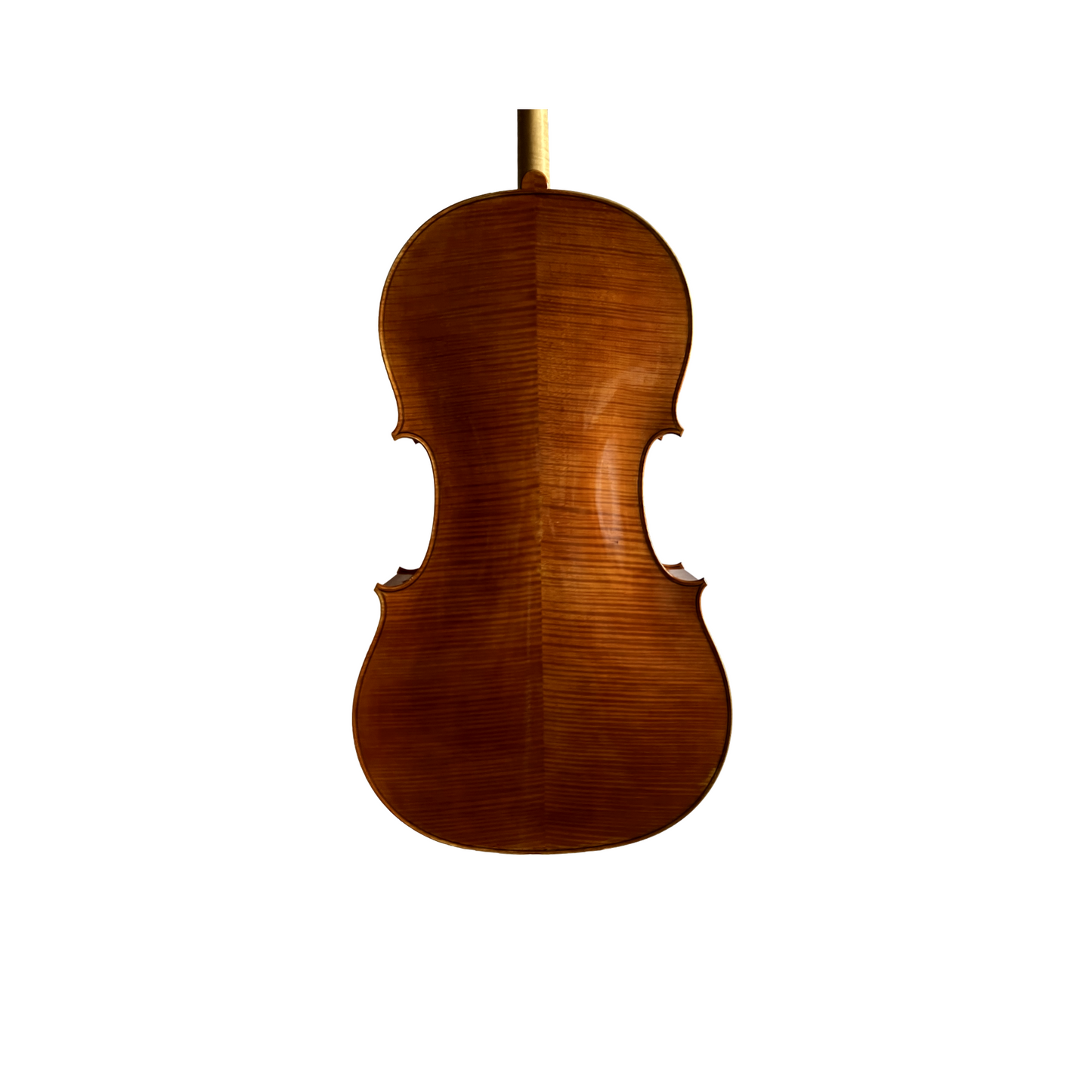 Frederik Bethke cello, Minneapolis, MN, 2023 | Metzler Violins