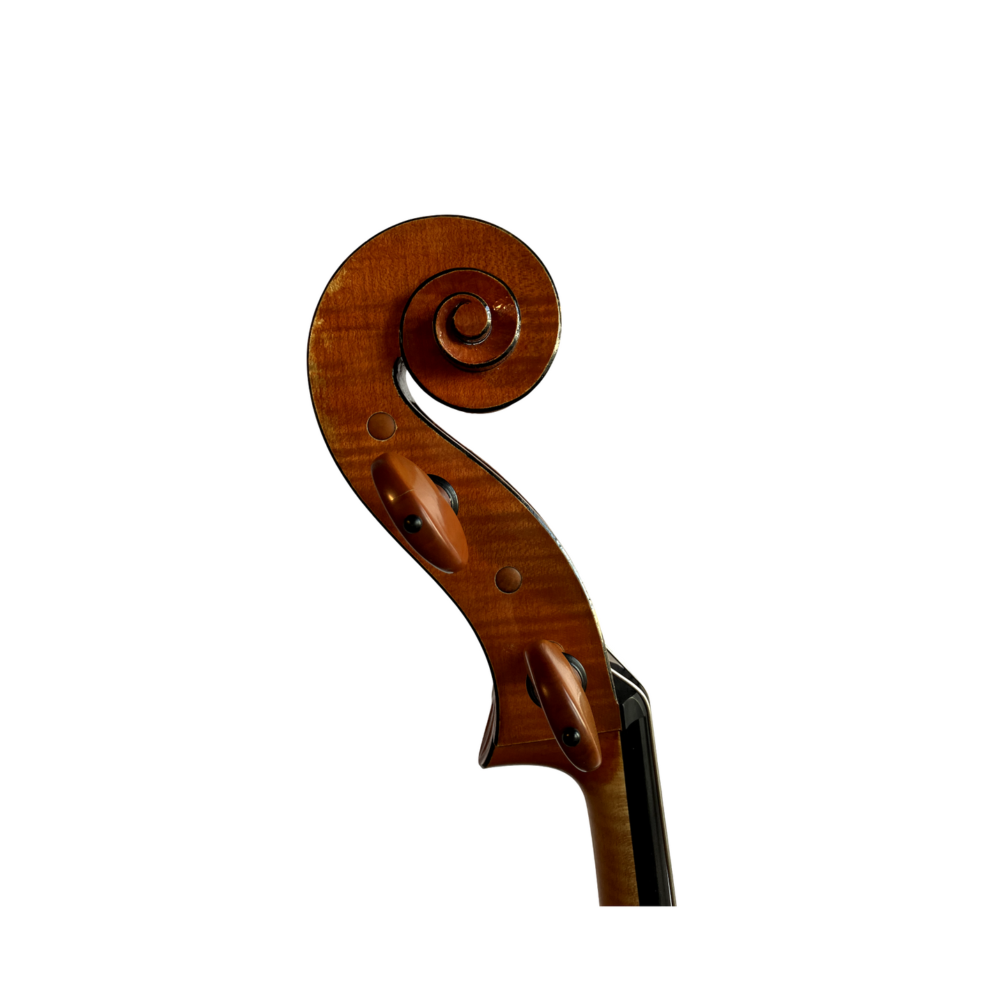 Frederik Bethke cello, Minneapolis, MN, 2023 | Metzler Violins